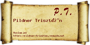 Pildner Trisztán névjegykártya